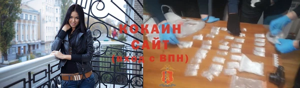 соль ск Алзамай