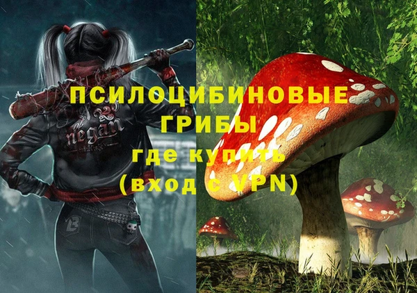 соль ск Алзамай