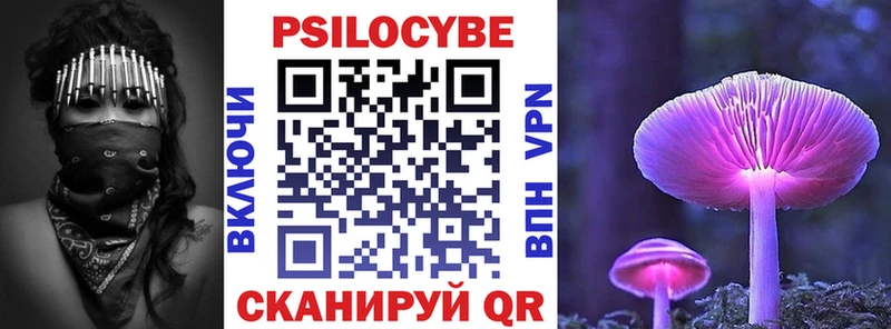 сайты даркнета телеграм  мега ссылка  Магадан  Галлюциногенные грибы прущие грибы 