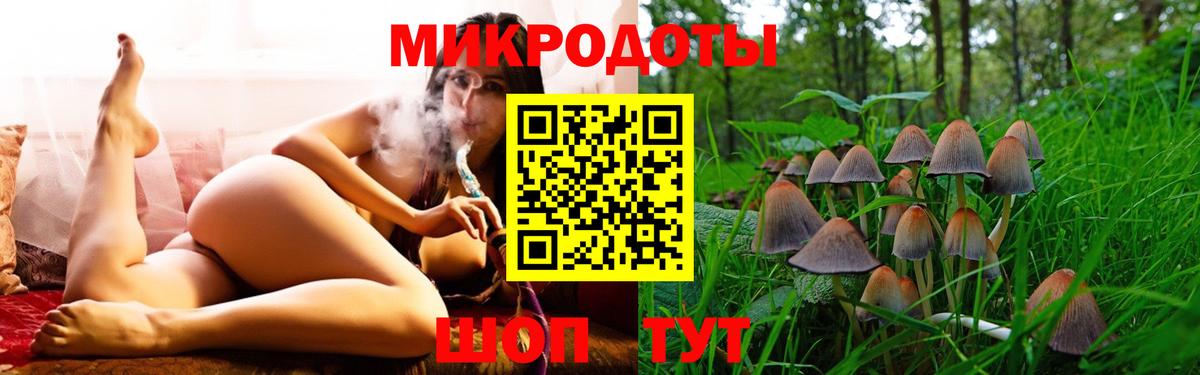 Магадан  Псилоцибиновые грибы GOLDEN TEACHER  Вход с VPN 