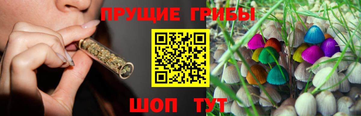Псилоцибиновые грибы GOLDEN TEACHER Магадан